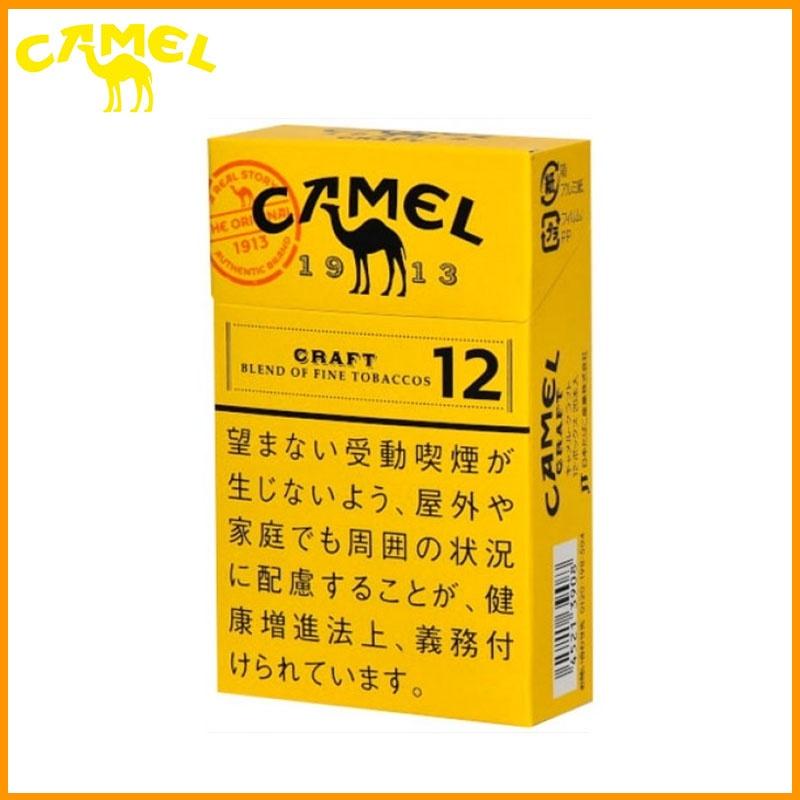 f2436ec40c0ef8c53009a712155dee20 Camel Craft 12